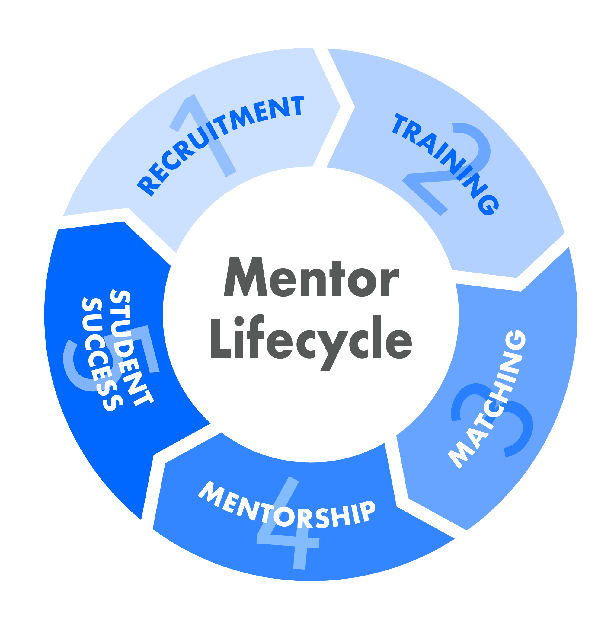 Mentor Lifecycle